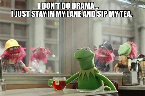 Kermit Tea None Of My Business Quotes Quotesgram