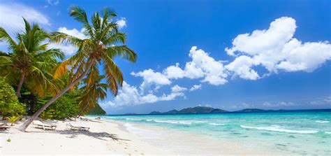 Beautiful Tropical Beach With Palm Trees White Sand Turquoise