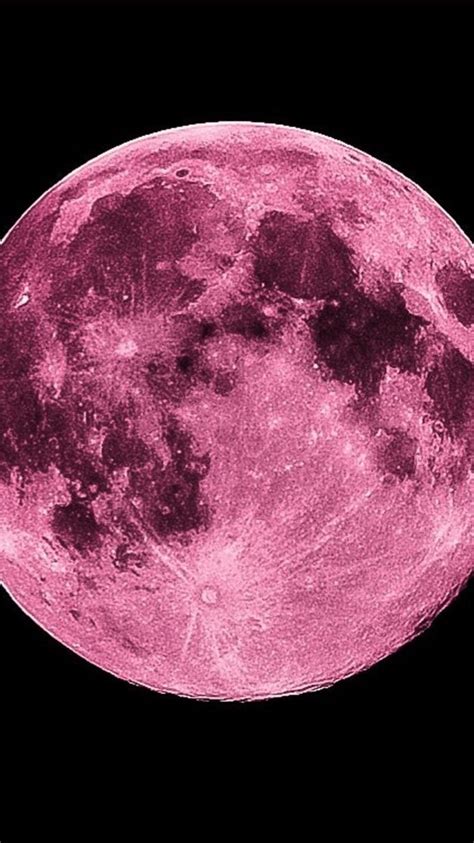 Pink Full Moon Backiee