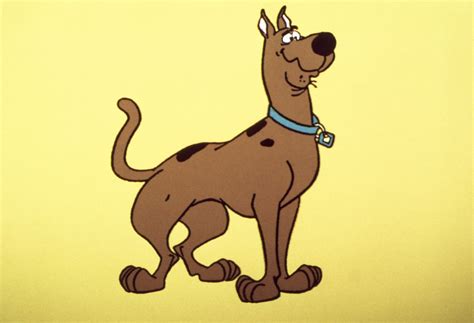 Like a typical great dane, scooby has takamoto revealed that to design the character, he spoke with a great dane breeder who shared the ideal features of a prize great dane. 24 Best-Loved Family Dogs on TV - TV Insider