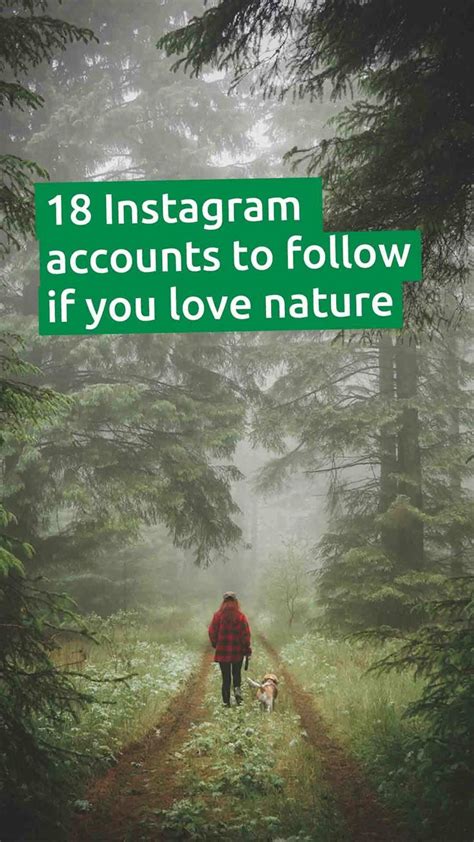 18 Instagram Accounts To Follow If You Love Nature🍃 Nature Instagram
