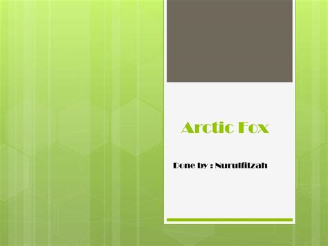 Ppt Arctic Fox Powerpoint Presentation Free Download Id5371092