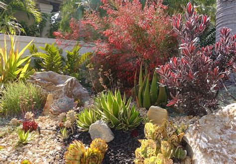 Xeriscaping Guide How To Design A Yard That Doesnt Need Watering