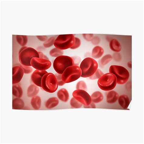 Microscopic View Of Blood Cells Poster For Sale By Stocktrekimages