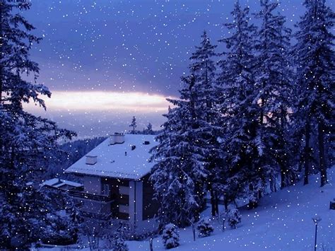 Beautiful Snowfall Real Snowfall Hd Desktop Wallpapers