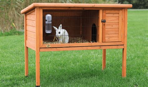 30 Best Indoor Rabbit Cages In 2020 Reviews Included