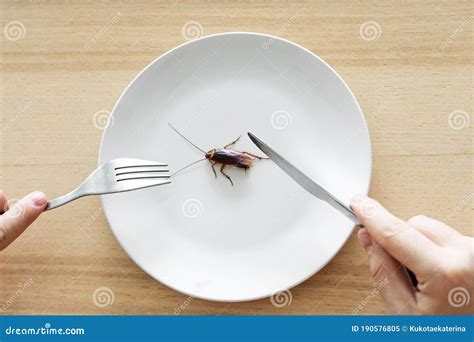 Top View A Man Eating A Cockroach Cockroach In A White Plate On The Kitchen Table Stock Image