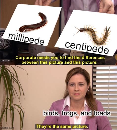 Millipedes And Centipedes Imgflip