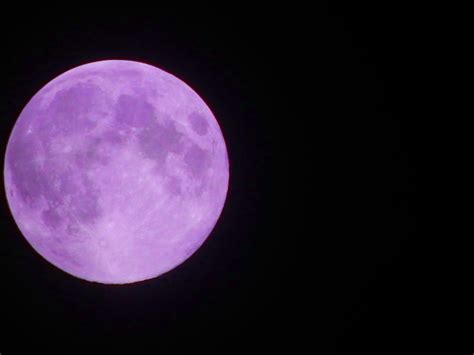 This Is The Rare Purple Moon By Juliansims On Deviantart