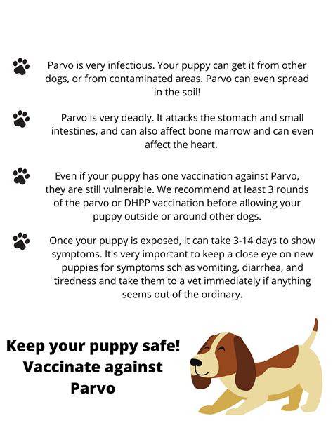 Great Tips About How To Get Rid Of Parvovirus Anxietyconcentrate