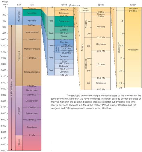Geologists use radiometric dating to estimate how long ago rocks formed, and to infer the ages of fossils contained within those rocks. Radiometric dating penny activity. Radiometric dating ...