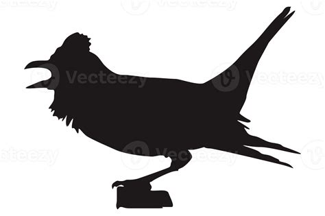 Perched Bird Silhouette On Transparent Background 23630092 Png