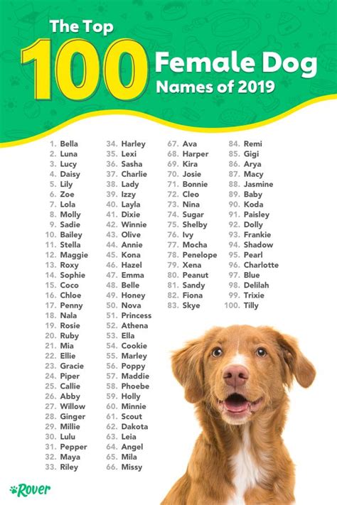 Top 100 Most Popular Dog Names In 2022 Female Dog Names