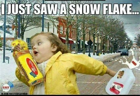 19 Downright Funny Memes Youll Only Get If Youre From Georgia Snow
