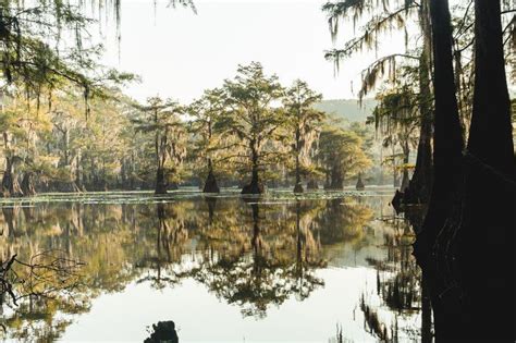 Paddle Through The Worlds Largest Cypress Forest Hiding In Deep East Texas