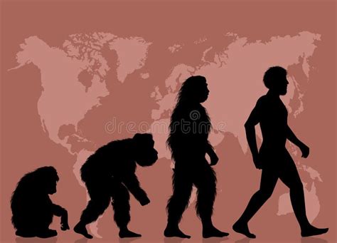 Illustration Of Evolution Human Stock Illustration Illustration Of