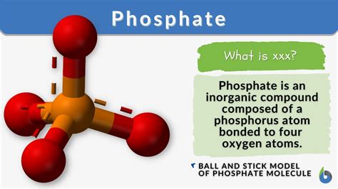 Phosphate Definition And Examples Biology Online Dictionary