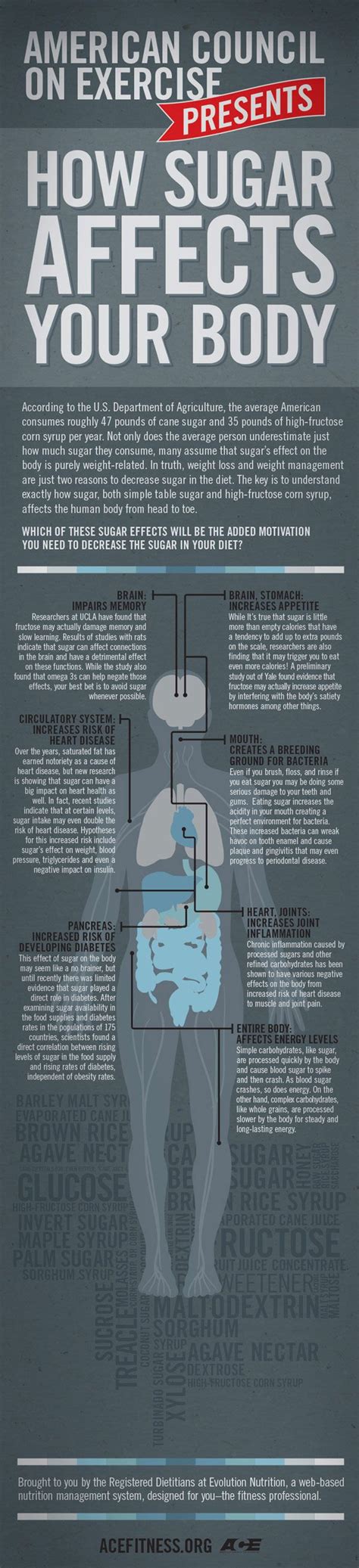 How Sugar Affects Your Body Infographic Best Infographics Health
