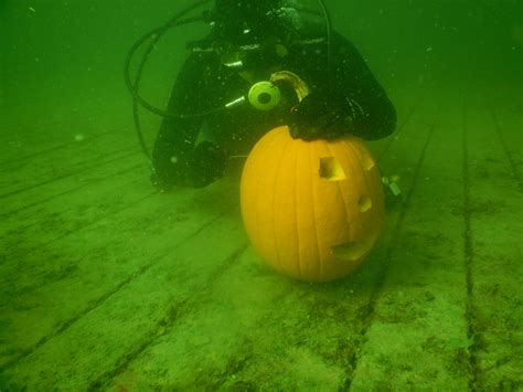 Underwater Pumpkin Carving 2015 Great Lakes Dive Locker And Lakeshore Scuba