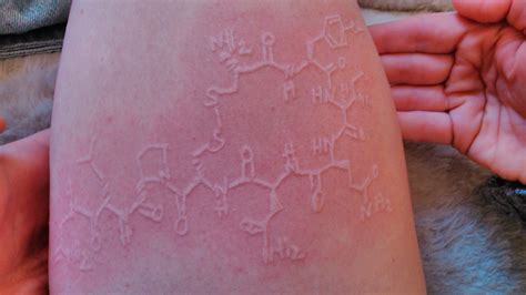 Zoës Molecule Skin Drawings Skintome
