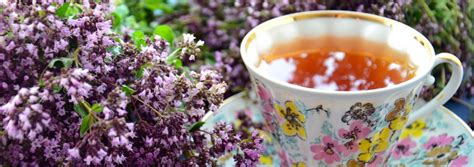 En effet, le terme « infusion » désigne en réalité la manière dont sont préparés le thé et la tisane. Quelles différences entre le thé et la tisane ? - Saveur ...