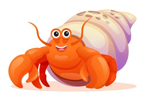 Cute Hermit Crab Cartoon Illustration Isolated On White Background
