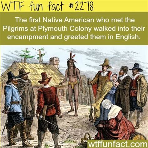The First Native American Who Met The Pilgrims Wtf Fun Facts True Facts Funny Facts Random