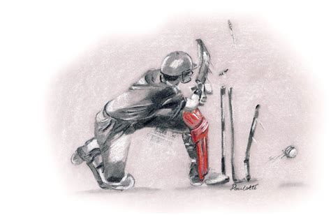 Cricket Drawing Sweep Action Fine Art Cricket Prints Paulette