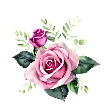 Pink Rose Watercolor Stunning Pink Rose Watercolor Vibrant Bouquet