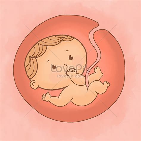 Baby Inside Images Hd Pictures For Free Vectors Download