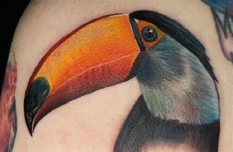 60 Coolest Toucan Tattoo Designs Petpress