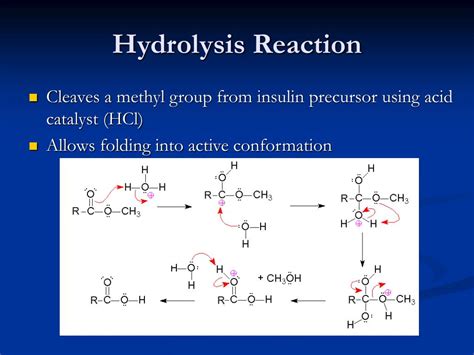 Ppt Ester Hydrolysis Reactor Powerpoint Presentation Free Download