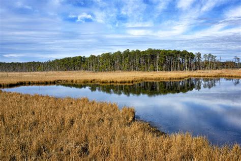 Blackwater National Wildlife Refuge In Maryland Photograph By Brendan