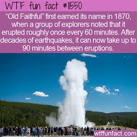 Wtf Fun Facts Page 138 Of 1374 Funny Interesting And Weird Facts