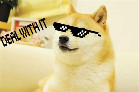 The Top 10 Most Popular Memes Of All Time Doge Meme Characters Memes