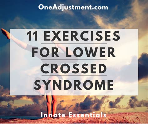 11 Exercises For Lower Crossed Syndrome One Adjustment