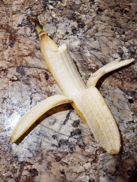 A Photogenic Banana Rmildlyuninteresting