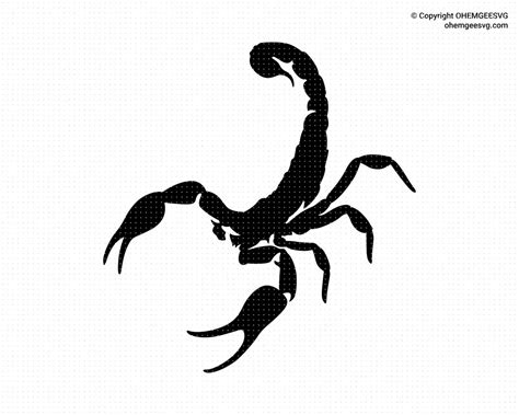 Scorpion Svg Eps Png Dxf Clipart For Cricut Or Silhouette Etsy
