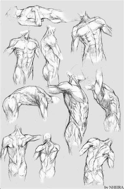 Pin By Miles Right On Men Drawing Anatomy Sketches Anatomy Art