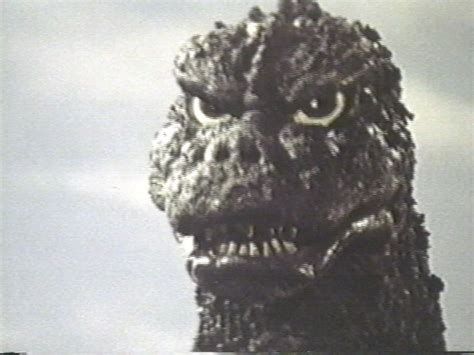 Godzilla Godzilla Kaiju Movie Monsters