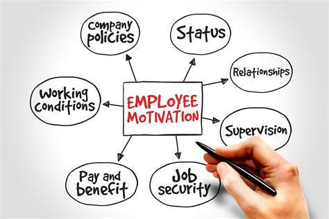 Understanding Employee Motivations to Increase Productivity and ...