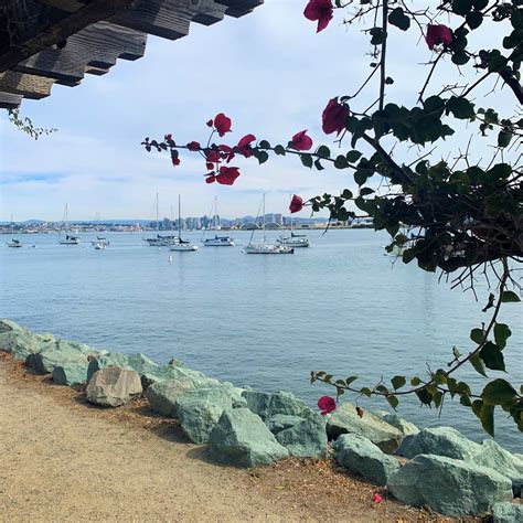 #SanDiego, Shelter Island Appreciation Day! | Shelter island, Beautiful