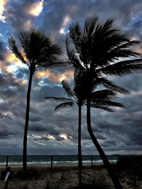 Pin By Tracy Wilson On Beach Sunrise Sunset And Palm Trees Sunrise