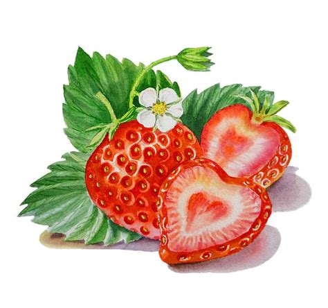 Watercolor Strawberry Png Transparent Image Png Arts