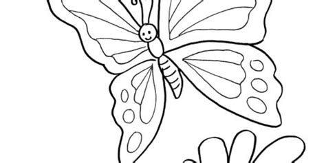 Selain itu sketsa ini juga masih sangat tipis agar kemudian dapat ditindak lanjuti dengan gambar sketsa kupu kupu 3d. Paling Inspiratif Sketsa Kupu Kupu Yang Mudah - The Toosh