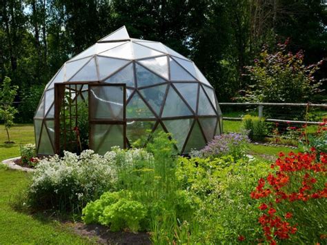 Essential Things To Know To Build A Greenhouse