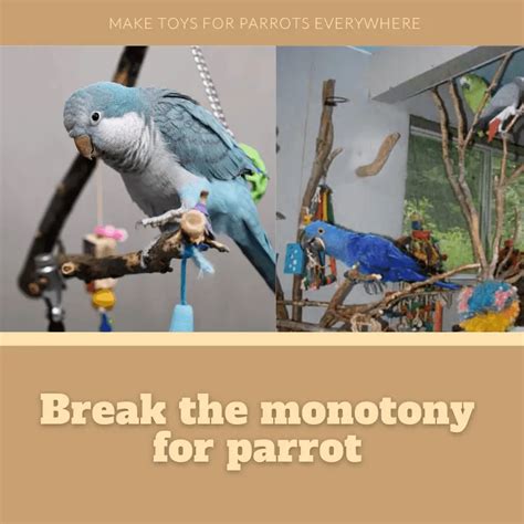Break The Monotony For Parrot Make Toys For Parrots Everywhere