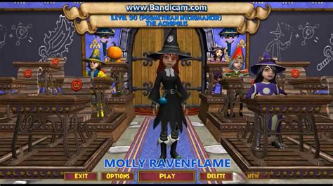 Wizard101 My Characterswizards Plus A Special Story Youtube