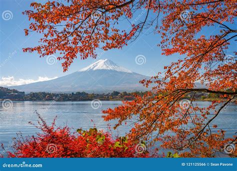 Mt Fuji Japan In Autumn Season Stock Photo Image Of Asian Japanese