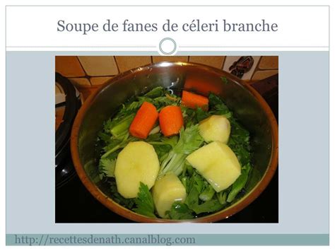 Soupe de fanes de céleri branche